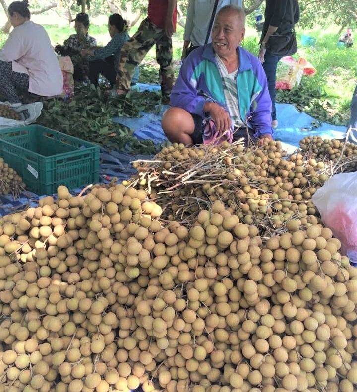 แม็คโคร ผุดโครงการ “ลำไย ปันสุข...คืนสุข สู่สังคม” ทุกการซื้อ 1 กก. บริจาค 1 บาท ซื้อสิ่งของจำเป็น อุปกรณ์การแพทย์ สนับสนุนแรงงานสูงอายุในท้องถิ่น เชื่อมโยงธุรกิจสู่ชุมชนยั่งยืน