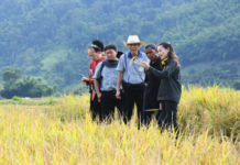 “กรมการข้าว” จัดประกวดเฟ้นหาสุดยอดข้าวไทย ตั้งเป้าทวงแชมป์ส่งออกข้าว