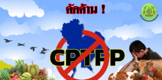 "ประพัฒน์" กระตุก CPTPP ผลประโยชน์ภาคเกษตรไม่ชัดเจน
