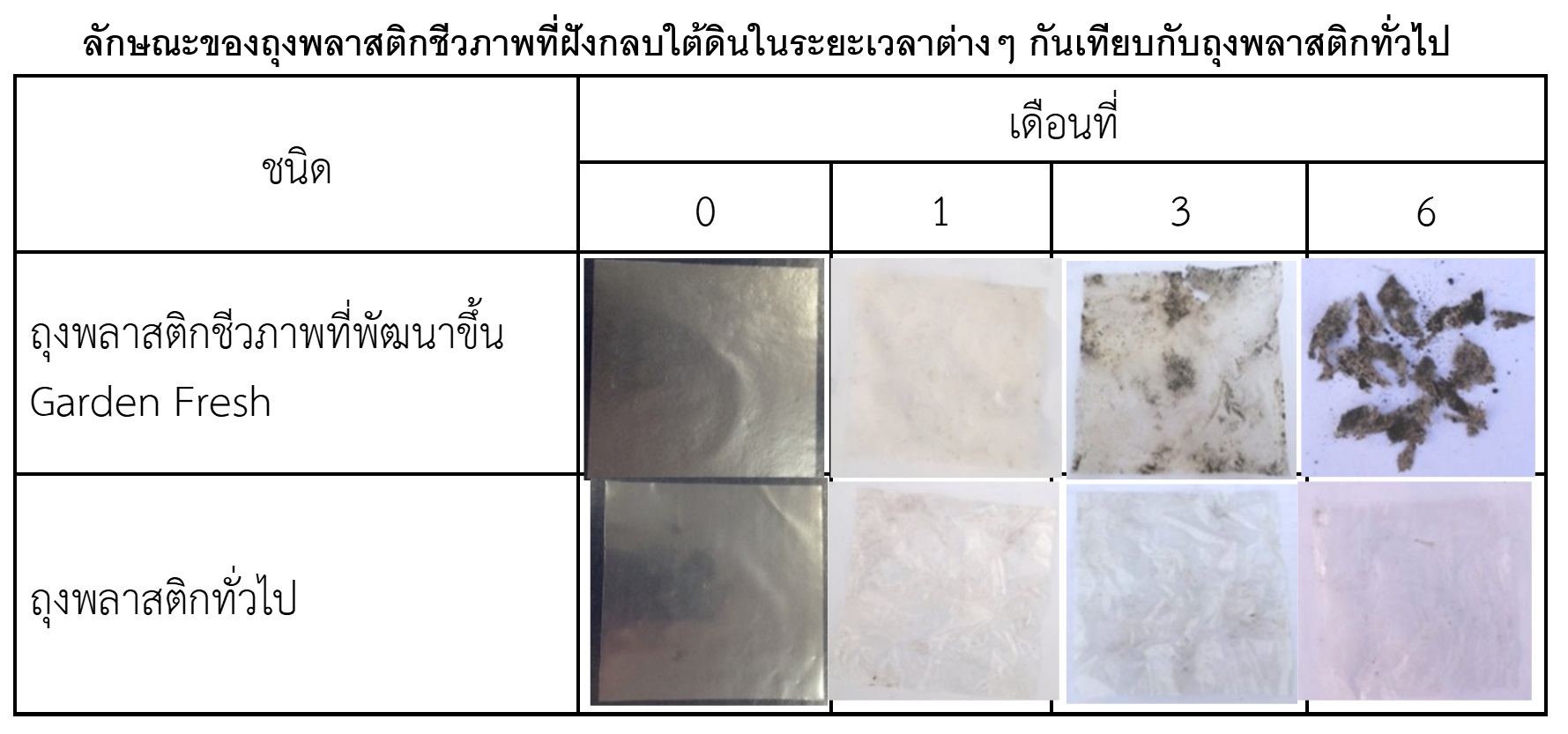 จุฬาฯรับทุนTEDFundโดดลงสวนผัก-ผลไม้ รักษาสิ่งแวดล้อมช่วยเพิ่มราคาให้เกษตรกร