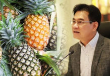 เกษตรฯ เผยสถานการณ์ผลิตสับปะรดและแนวทางการบริหารจัดการผลผลิต ปี 2564