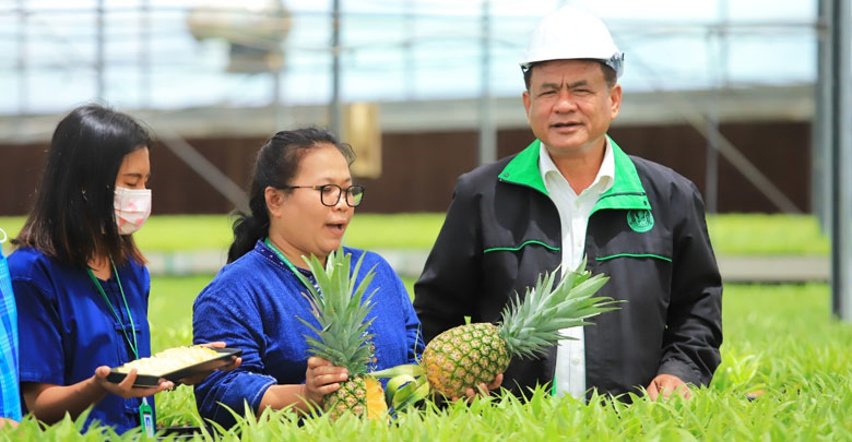 เกษตรฯ เผยสถานการณ์ผลิตสับปะรดและแนวทางการบริหารจัดการผลผลิต ปี 2564