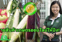 แนะเกษตรกรรายย่อย “มีความจริงใจ ซื่อสัตย์ฯ” คือช่องทางขายออนไลน์ให้ปัง