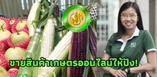 แนะเกษตรกรรายย่อย “มีความจริงใจ ซื่อสัตย์ฯ” คือช่องทางขายออนไลน์ให้ปัง