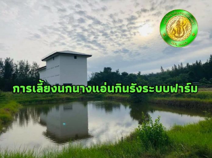 การเลี้ยงนกนางแอ่นกินรังระบบฟาร์ม โดยมหาวิทยาลัยเกษตรศาสตร์