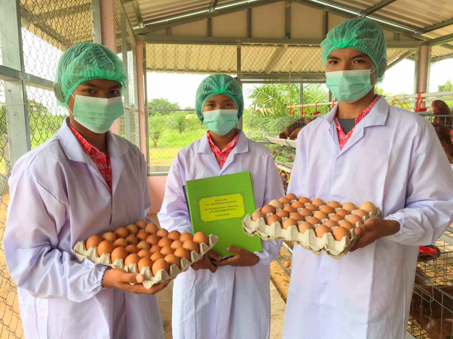 ซีพีเอฟ ชูโมเดล รร.เลี้ยงไก่ไข่ ถ่ายทอดองค์ความรู้เกษตรแผนใหม่และติดตามผลแบบออนไลน์ 