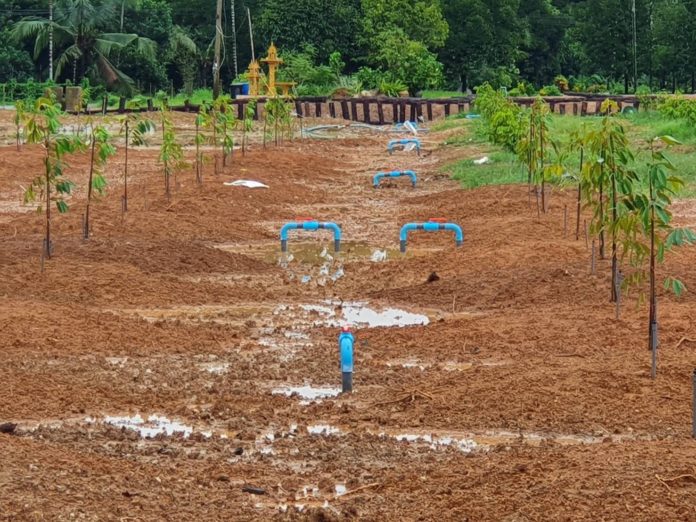 สสก.ที่ 3 ระยอง ลุยพัฒนาเกษตรกร 7 จังหวัด เปิดแปลงเรียนรู้ใช้น้ำเพาะปลูกจากของจริง