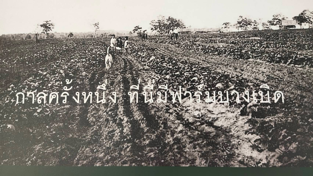 100 ปี ฟาร์มบางเบิด จุดกำเนิดเกษตรสมัยใหม่ของประเทศไทย 