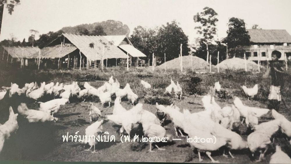100 ปี ฟาร์มบางเบิด จุดกำเนิดเกษตรสมัยใหม่ของประเทศไทย 