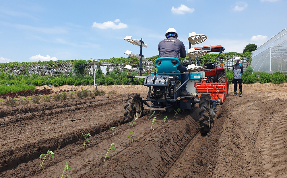 เจียไต๋–สยามคูโบต้า ประกาศความร่วมมือยกระดับการปลูกพืชผักครบวงจร