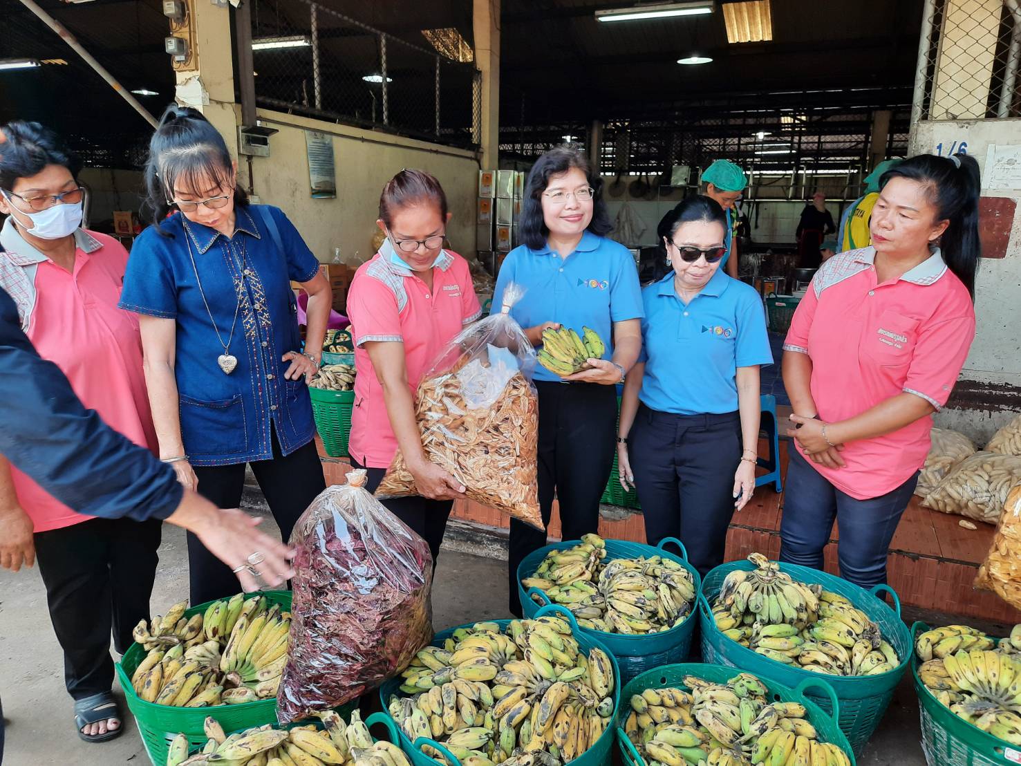 ‘กรมเจรจาฯ’ ลงพื้นที่สุโขทัย แนะเกษตรกรใช้ประโยชน์จาก FTA เพิ่มส่งออกกล้วยสด-แปรรูป สร้างรายได้ช่วงโควิด-19