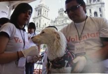 องค์กรพิทักษ์สัตว์แห่งโลก ประเทศไทย เผยรายงานระดับโลกกับทางออก โรคพิษสุนัขบ้าพร้อมหนุนสวัสดิภาพสัตว์ป้องกันโรคสัตวสู่คน