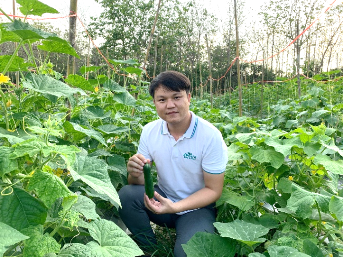 เกษตรกรยุคใหม่ ปลูกแตงกวาหอมเตย อะโรมาติก สร้างมูลค่าผลิตผลด้วยจุดขายที่แตกต่าง