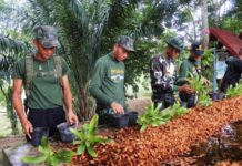 อบรมทหารกองประจำการเป็นทายาทเกษตรรุ่นใหม่ ผลตอบรับล้มหลาม เล็งขยายผลต่อเนื่อง