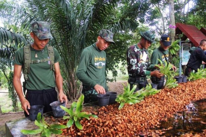 อบรมทหารกองประจำการเป็นทายาทเกษตรรุ่นใหม่ ผลตอบรับล้มหลาม เล็งขยายผลต่อเนื่อง