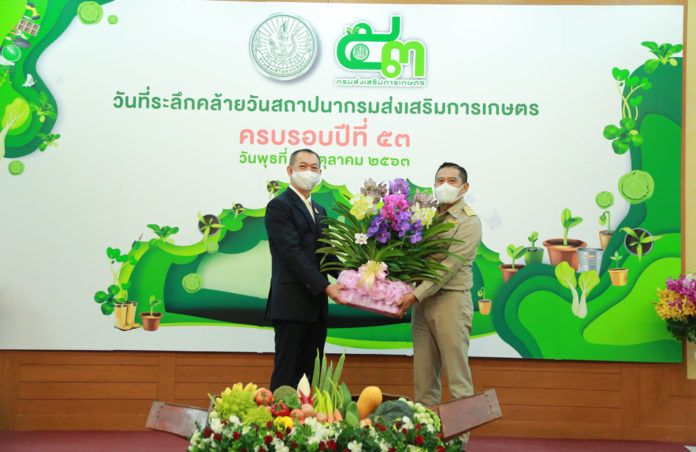 กรมส่งเสริมการเกษตร สนับสนุนการใช้กล้วยไม้ไทยในโอกาสพิเศษช่วยสร้างรายได้ให้เกษตรกร