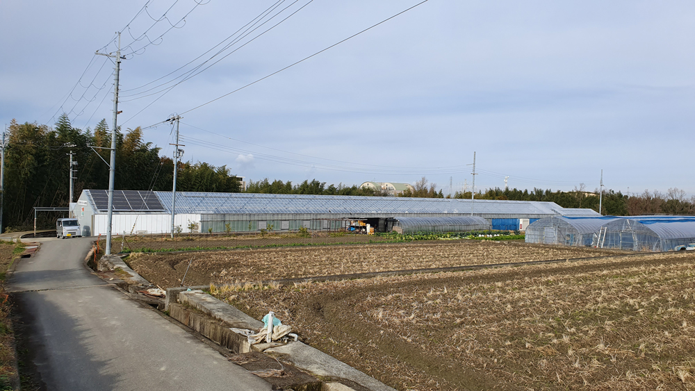 ชมโรงงานปลูกผัก “คูโบต้าฟาร์ม-ญี่ปุ่น” สร้างอาชีพผู้พิการและคนในชุมชน 