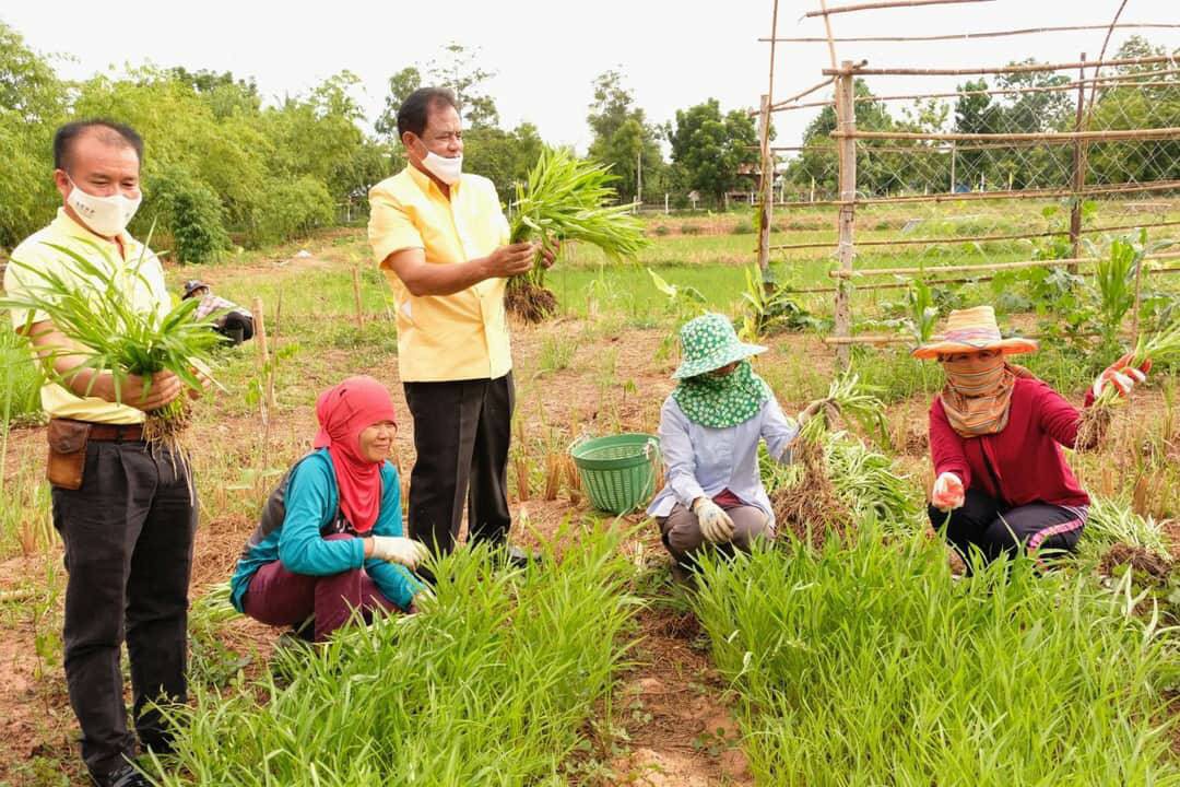 กรมส่งเสริมการเกษตรยกระดับโครงการฟาร์มตัวอย่าง 17 จังหวัดต้านภัยโควิด 19