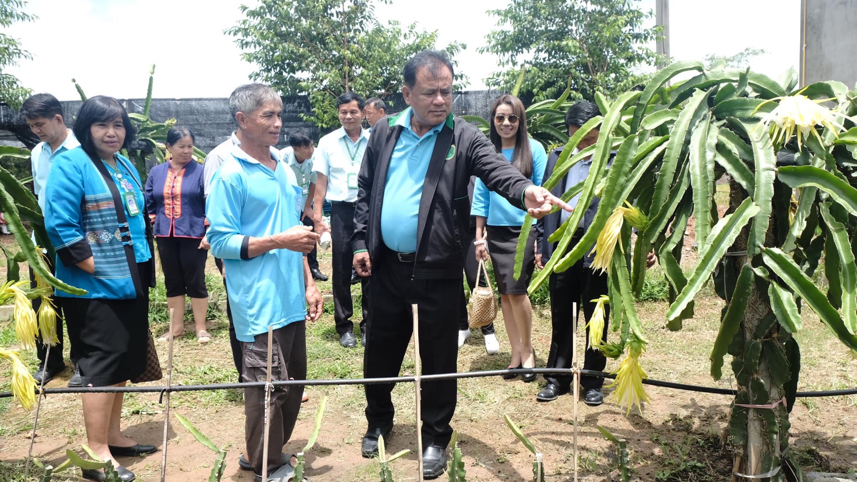 กรมส่งเสริมการเกษตรลงพื้นที่ จ.เลย สั่งการเจ้าหน้าที่เร่งแก้ปัญหา “แก้วมังกร” ราคาตกต่ำ