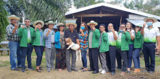 ธ.ก.ส.สตูลเยี่ยมชมจินดารัตน์ฟาร์ม ทะลึง! โรงเรือนเลี้ยงแพะพันธุ์ดี 500 ตัว