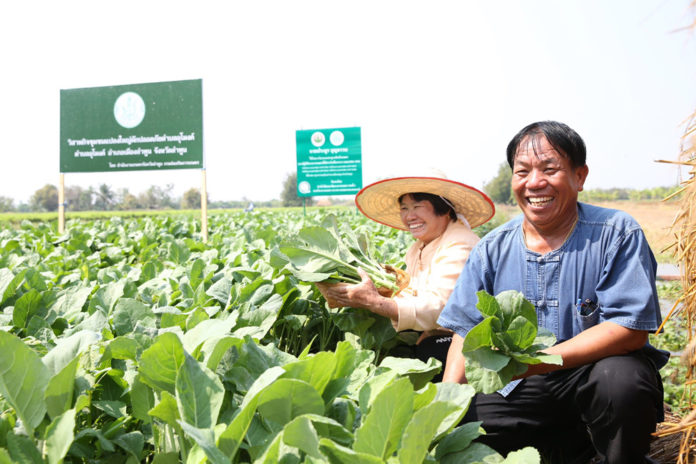 กรมส่งเสริมการเกษตรวางเป้าหนุนเกษตรกรผลิตตามระบบ GAP ให้ได้ 10,000 ราย ในปี 2564