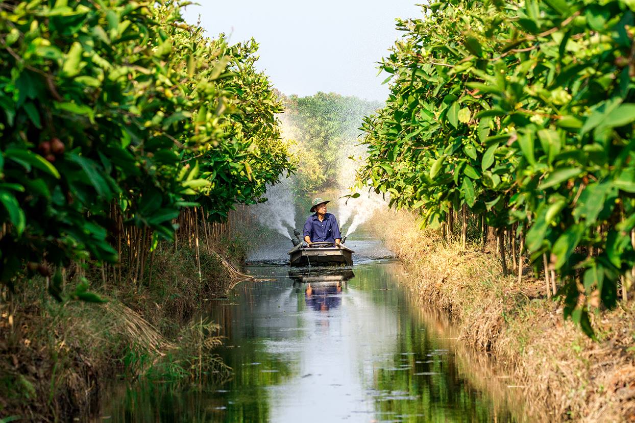 ให้น้ำด้วยเรือ ตามแบบฉบับของสวนผลไม้จังหวัดราชบุรี