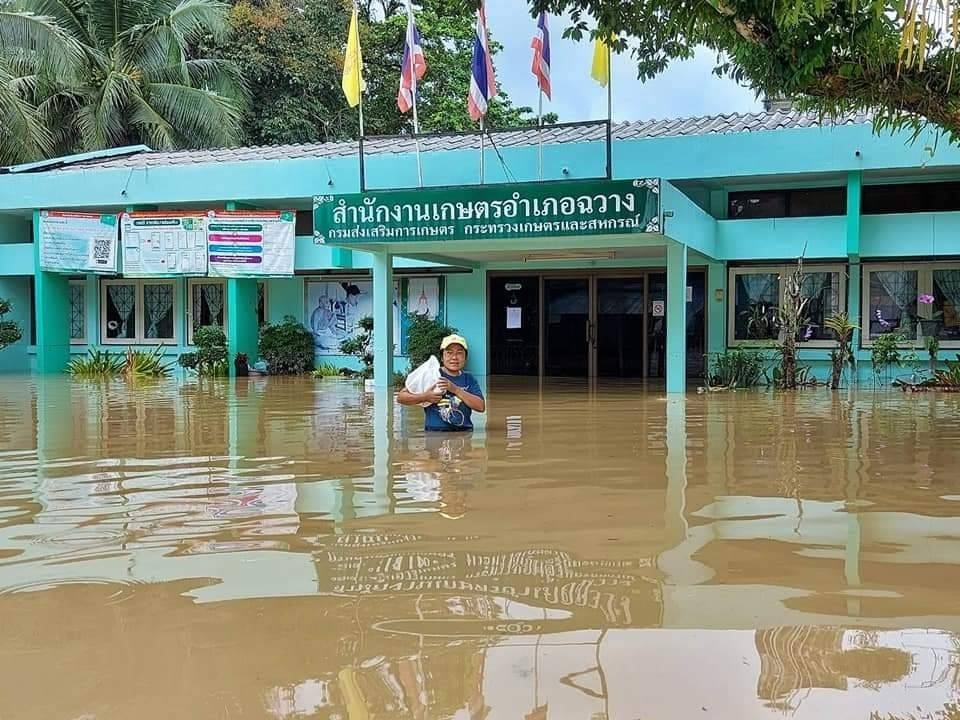 กรมส่งเสริมการเกษตรสั่งด่วนเร่งสำรวจพื้นที่เสียหาย เตรียมช่วยเหลือพี่น้องเกษตรกรภาคใต้ ฟื้นฟูพื้นที่การเกษตรทันทีหลังน้ำลด