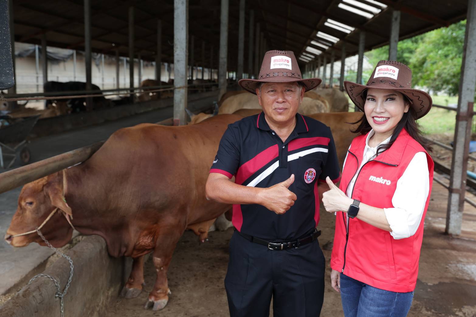 แม็คโคร ผุดโมเดลเกษตรยั่งยืน หนุนผู้เลี้ยงวัวไทย ผลิตเนื้อพรีเมียม ชูจุดแข็งตลาดนำการผลิต ปรับระบบการเลี้ยง สร้างรายได้เพิ่มกว่า 2 หมื่นต่อตัว