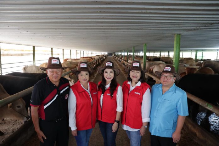 แม็คโคร ผุดโมเดลเกษตรยั่งยืน หนุนผู้เลี้ยงวัวไทย ผลิตเนื้อพรีเมียม ชูจุดแข็งตลาดนำการผลิต ปรับระบบการเลี้ยง สร้างรายได้เพิ่มกว่า 2 หมื่นต่อตัว