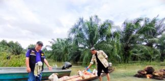 กรมส่งเสริมการเกษตรสั่งด่วนเร่งสำรวจพื้นที่เสียหาย เตรียมช่วยเหลือพี่น้องเกษตรกรภาคใต้ ฟื้นฟูพื้นที่การเกษตรทันทีหลังน้ำลด