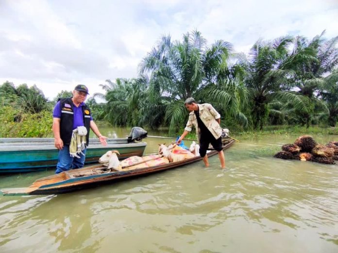 กรมส่งเสริมการเกษตรสั่งด่วนเร่งสำรวจพื้นที่เสียหาย เตรียมช่วยเหลือพี่น้องเกษตรกรภาคใต้ ฟื้นฟูพื้นที่การเกษตรทันทีหลังน้ำลด