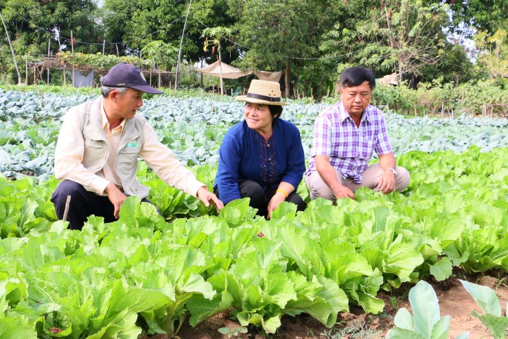 กรมส่งเสริมการเกษตรวางเป้าหนุนเกษตรกรผลิตตามระบบ GAP ให้ได้ 10,000 ราย ในปี 2564