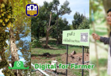 Digital for Farmer เกษตรกรไทยจะใช้ digital technology มาพัฒนาอาชีพการเกษตรได้อย่างไร?