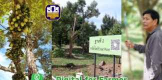 Digital for Farmer เกษตรกรไทยจะใช้ digital technology มาพัฒนาอาชีพการเกษตรได้อย่างไร?