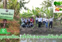 “หลุมพอเพียง” สร้างรายได้อย่างเพียงพอ กับ “โครงการครึ่งไร่คลายจน” ที่ไร่แสงสกุลรุ่ง