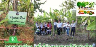 “หลุมพอเพียง” สร้างรายได้อย่างเพียงพอ กับ “โครงการครึ่งไร่คลายจน” ที่ไร่แสงสกุลรุ่ง