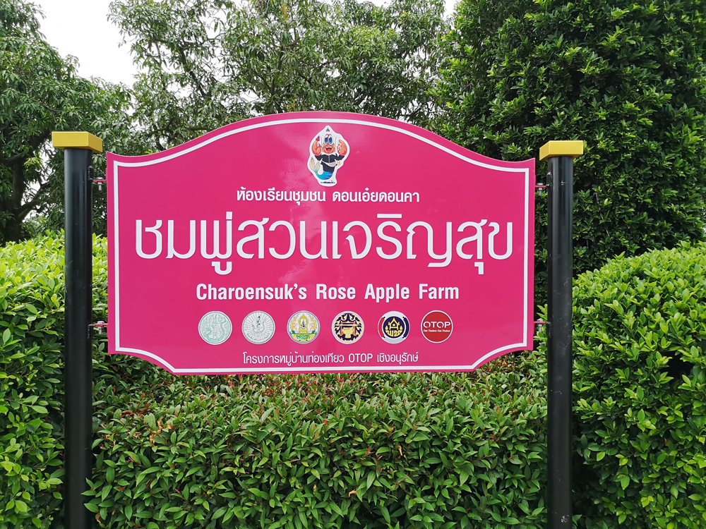 “ชมพูทับทิมจันทร์” ปลูกให้เจริญงอกงามเหมือนสวนเจริญสุข 