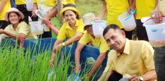 ม.ทักษิณ รวมพลังคนดอนประดู่ น้อมรำลึกในพระมหากรุณาธิคุณ ร.9 สืบสานศาสตร์พระราชา ทำนาสร้างสุข ในวันพ่อแห่งชาติ