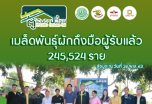 เฉลิมชัยฯ เผยแจกเมล็ดผักแล้ว 81.84% จากโครงการตู้เย็นข้างบ้านต้านภัย COVID-19