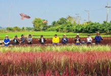 ปลูกข้าวสรรพสี (ข้าว 7 สี) “ทำนาเพื่อการท่องเที่ยว” ฝันยิ่งใหญ่ของทายาทเกษตรกรไทย