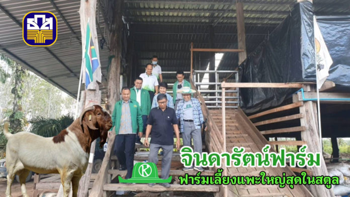 หนุ่มวิศวะปูฐานที่บ้านเกิด สร้างฟาร์มแพะใหญ่สุดสตูล “จินดารัตน์ฟาร์ม” ได้ธ.ก.ส.หนุนสุดๆ