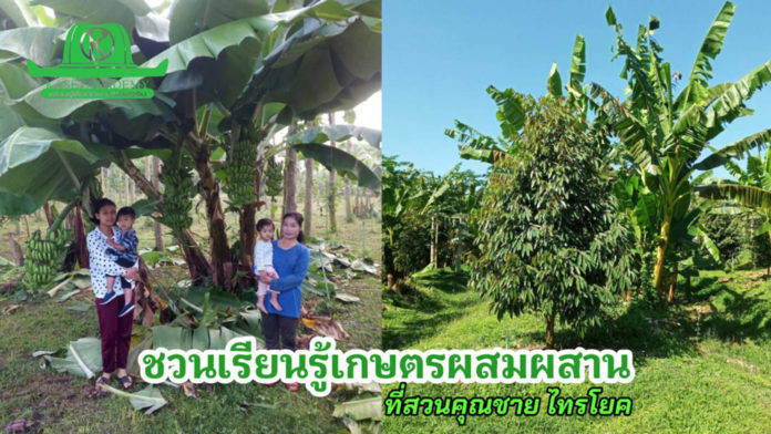 โครงการห้องเรียนกลางสวน “ชวนเรียนรู้เกษตรผสมผสาน” ที่สวนคุณชาย ไทรโยค
