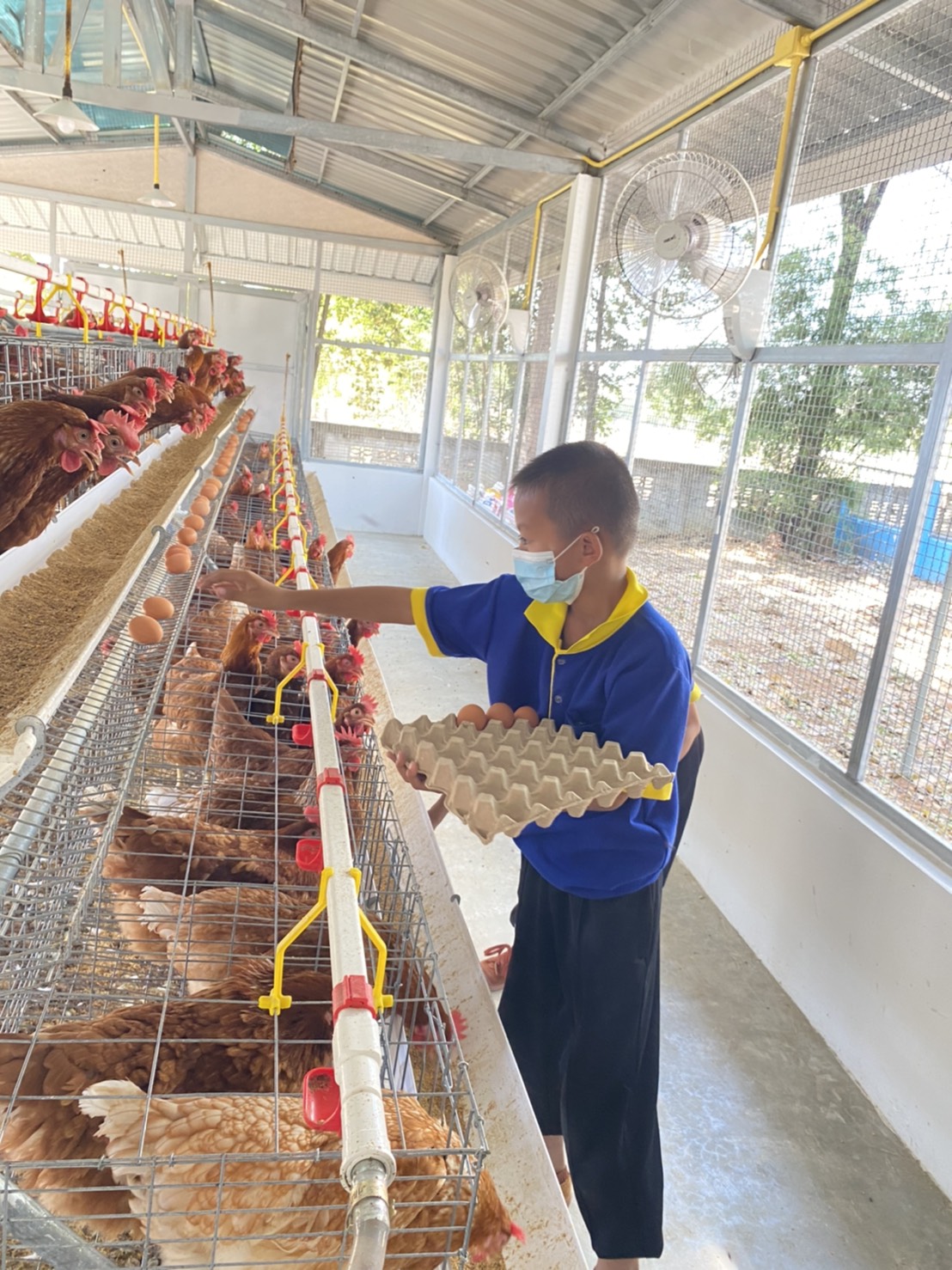ซีพีเอฟร่วมเติมประสบการณ์ เยาวชนไทยวิถีใหม่ แหล่งเรียนรู้ ในโครงการ"เลี้ยงไก่ไข่เพื่ออาหารกลางวันนักเรียน"