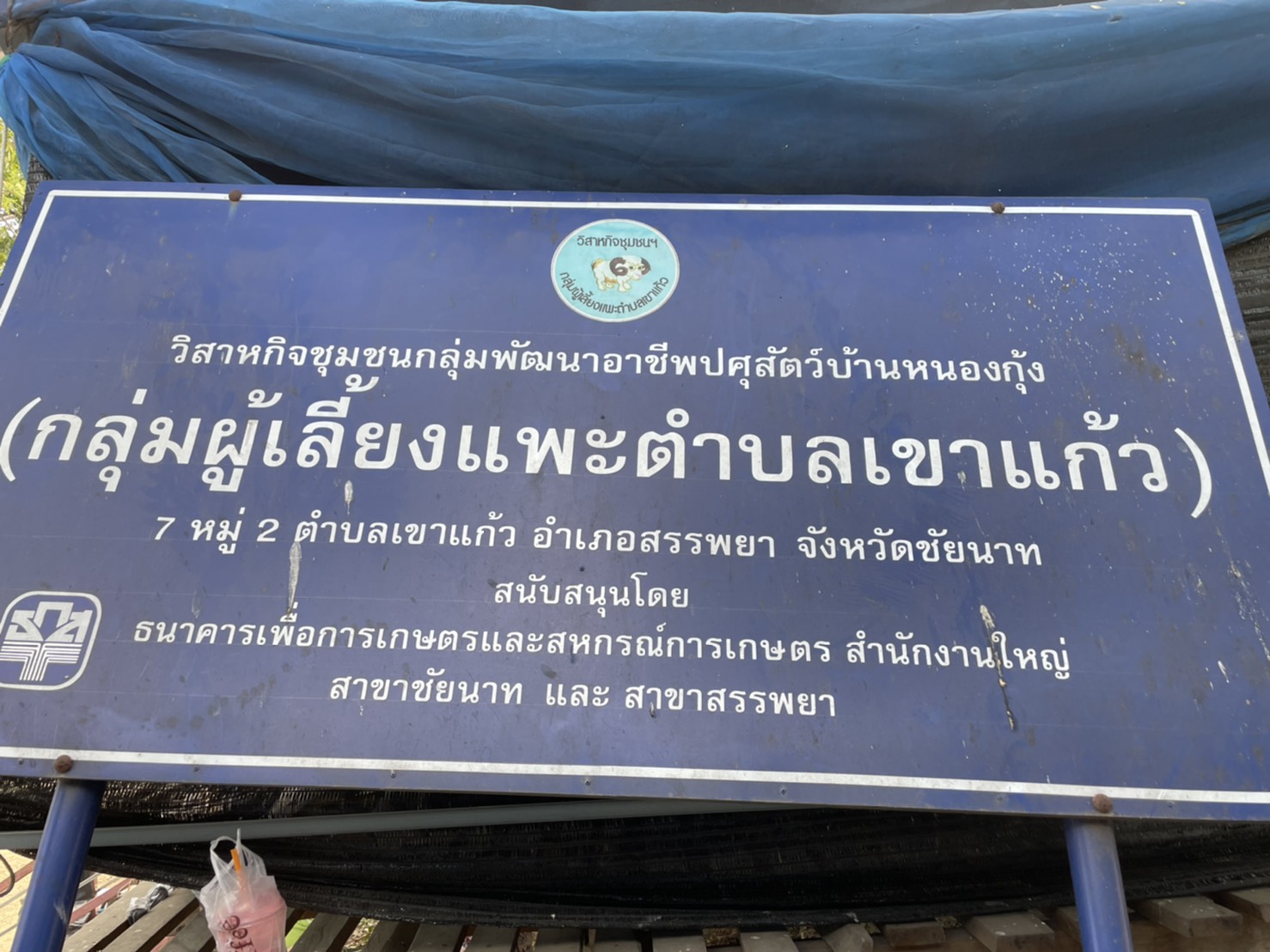 สศท.7 แนะ ‘แพะเนื้อ’ จ.ชัยนาท สินค้าปศุสัตว์ทางเลือก สร้างรายได้ ตลาดต้องการสูง