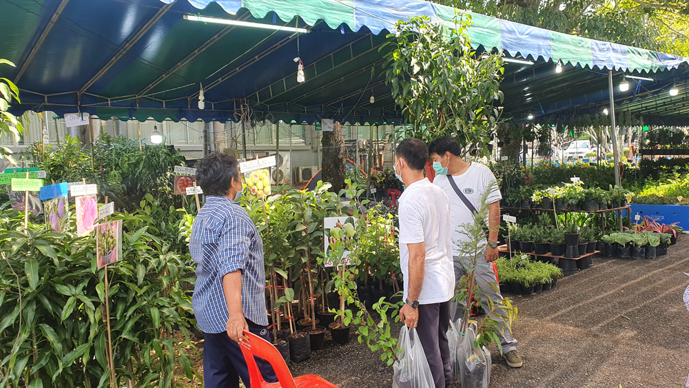 ร้านขายกิ่งพันธุ์ฝรั่งได้รับความสนใจมาก (งานพืชสวนก้าวหน้า เมื่อเดือนธันวาคม 2563)