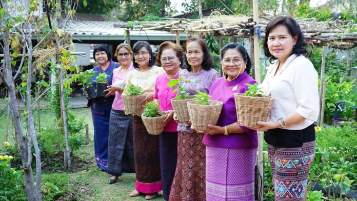 พ่อเมืองชัยภูมิ เปิดจวนผู้ว่า Kick off ปฏิบัติการ 90 วัน ปลูกผักสวนครัว รอบ2