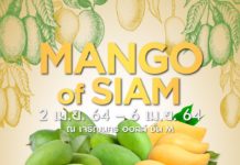 เกษตรฯ ยกทัพผลไม้บุกห้างกลางกรุงในงาน “Mango of SIAM ที่สุดแห่งมะม่วงไทย ถูกใจทั่วโลก”