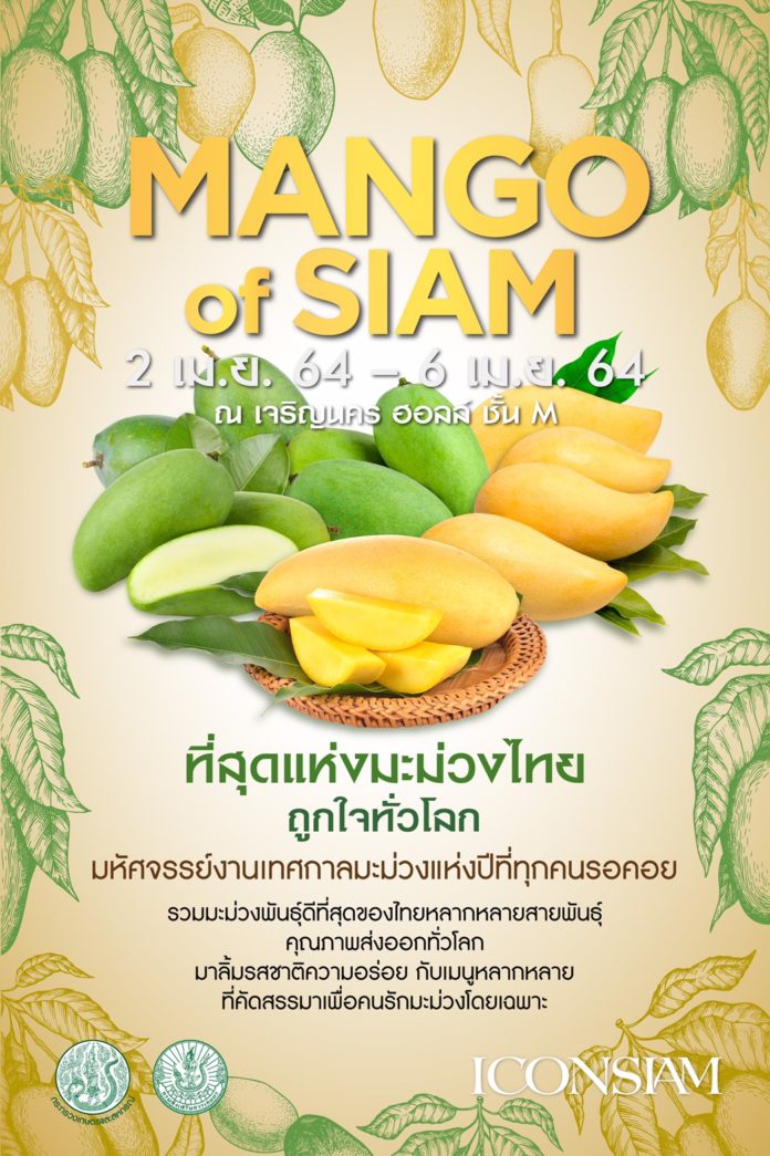 เกษตรฯ ยกทัพผลไม้บุกห้างกลางกรุงในงาน “Mango of SIAM ที่สุดแห่งมะม่วงไทย ถูกใจทั่วโลก”