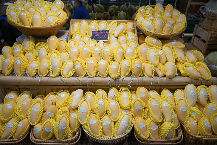 เกษตรฯ ยกทัพผลไม้บุกห้างกลางกรุงในงาน “Mango of SIAM ที่สุดแห่งมะม่วงไทย ถูกใจทั่วโลก”