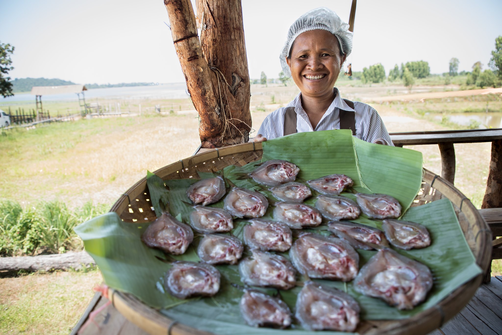 “เอ็นไอเอ” เตรียมส่ง 66 สตาร์ทอัพฮีโร่ ร่วมแก้วิกฤตภาคเกษตรไทย พร้อมโชว์ 3 เทรนด์นวัตกรรมเกษตรทำแล้วรวย ตอบโจทย์ไลฟ์สไตล์การบริโภคปี 2021